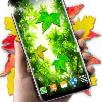 Leaves Live Wallpaper 🍂 Spring Forest Themes logo