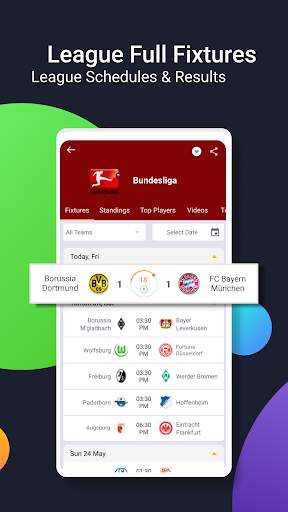 mobiSCORE Today Live Scores screenshot 6