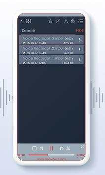 Super Voice Recorder screenshot 2