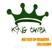 King Camba 1.399