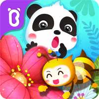Little Panda's Insect World
