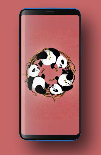 Cute Panda Wallpapers HD screenshot 6