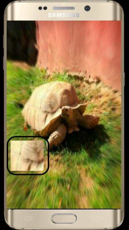 Digital Microskop Camera screenshot 2