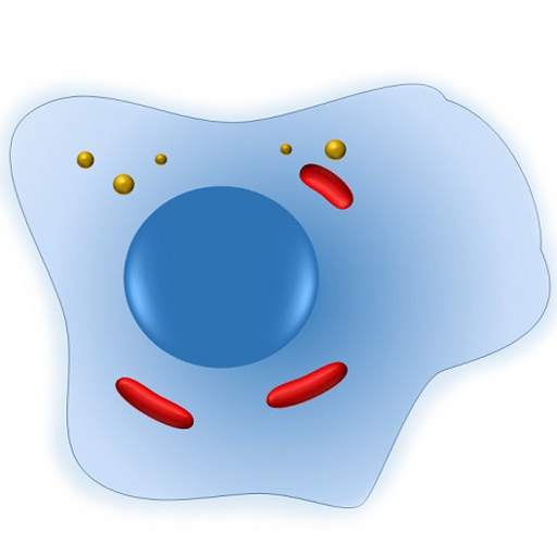 Cell Biology-101 1.80