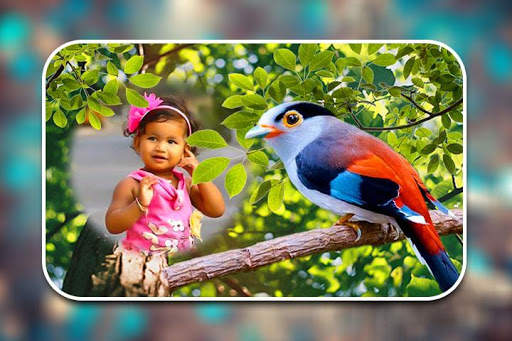 Birds Photo Frames screenshot 4