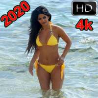 Hot Bikini Girl 2020 Wallpaper 4k/HD logo