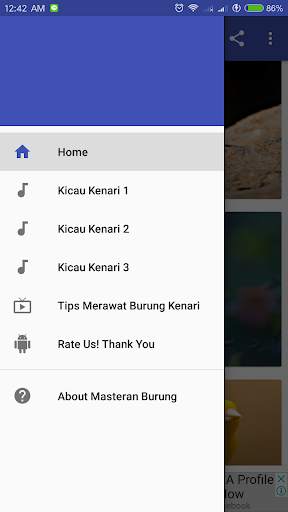 Kicau Burung Kenari screenshot 2