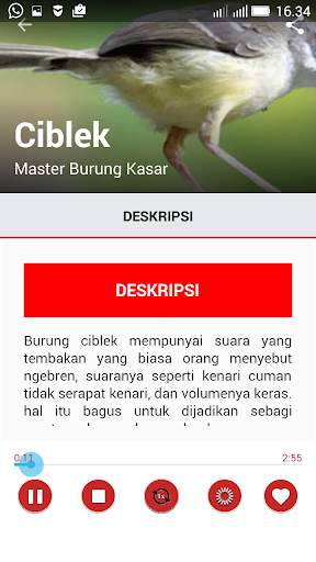 Master Suara Burung Kasar screenshot 5