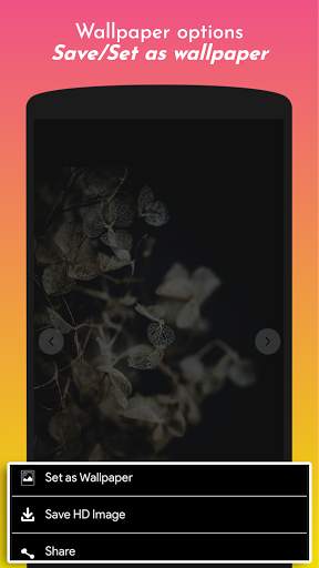 UHD Wallpapers & Backgrounds screenshot 6