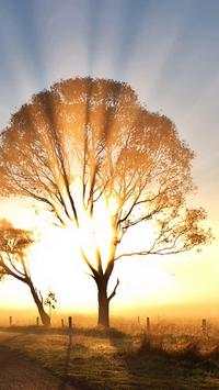 Sunrise Wallpapers screenshot 1
