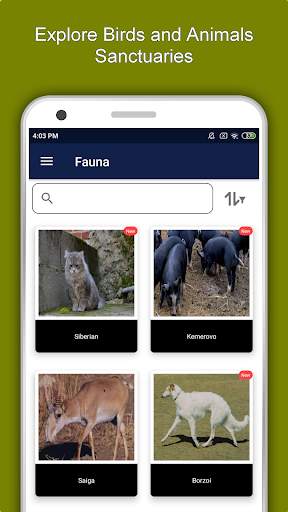 Kazan Travel & Explore, Offline City Guide screenshot 5