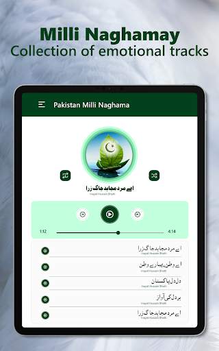 Pakistani Mili Naghmay Mp3 Songs Offline screenshot 9