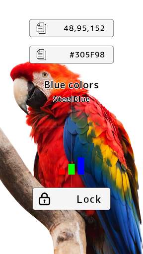 Color Camera screenshot 5