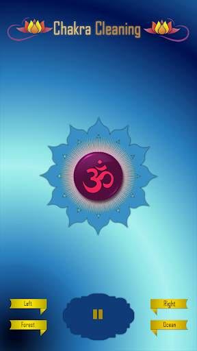 Chakra Cleaning screenshot 4