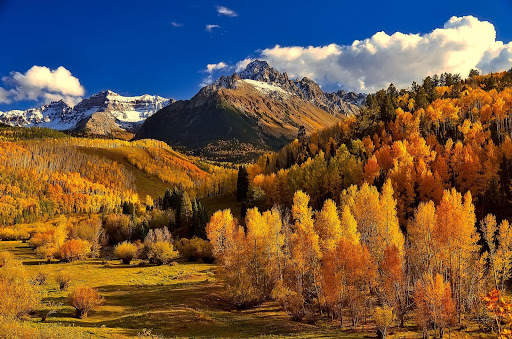 Autumn Wallpaper HD : backgrounds & themes screenshot 15