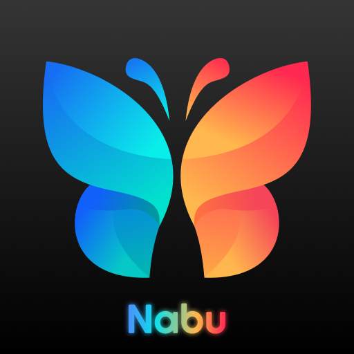Nabu 1.0.220825_1549_nabu_pro