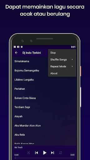 Dj Safira Inema Terbaru Offline screenshot 4