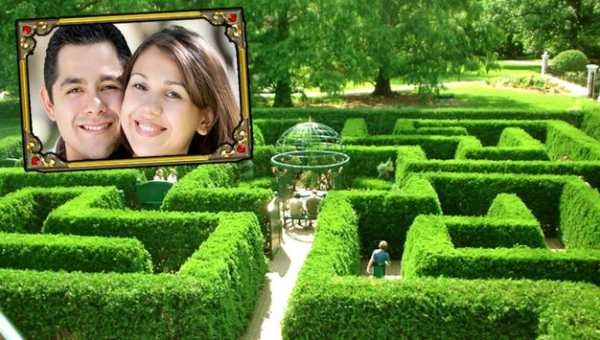 Garden Photo Frames screenshot 8