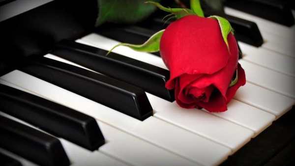 Piano Academy Learning - Learning Piano Keyboard screenshot 2