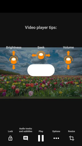 BSK Media Player screenshot 8