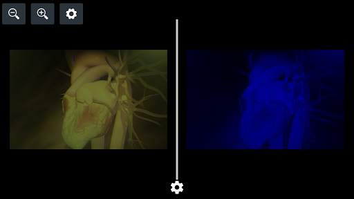 Anaglyph Cardboard screenshot 4
