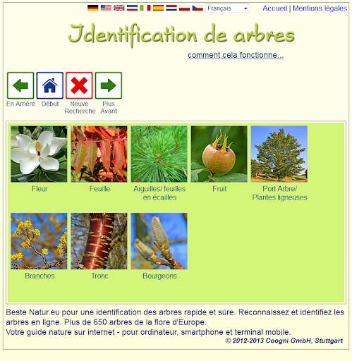 Identification des arbres screenshot 1