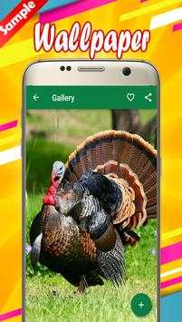 Turkey Wallpapers 6 تصوير الشاشة