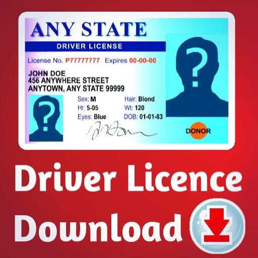 Driving Licence Card-Download screenshot 1