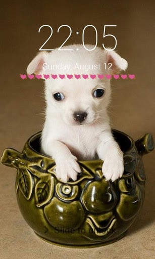 Puppy Dog Pattern Lock Screen Cute Puppy Pin Lock screenshot 13