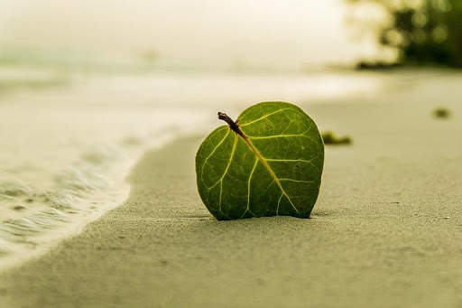 Mindfulness Meditation & Exercises screenshot 3