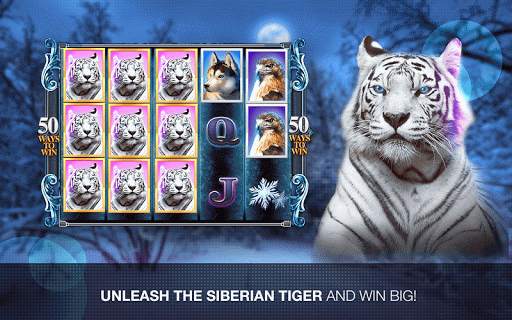 Slots Super Tiger Casino Slots screenshot 6