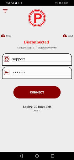 Parsonal vpn screenshot 3