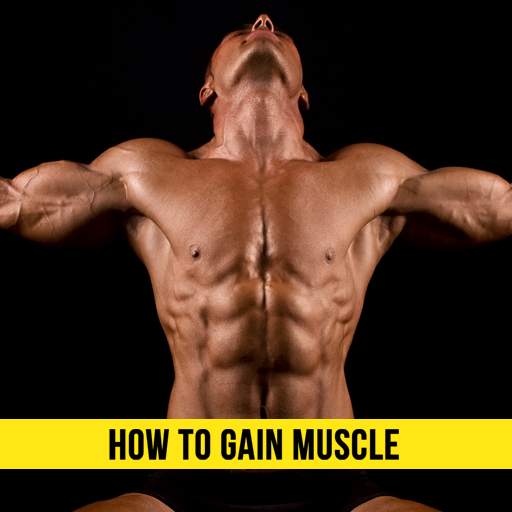 How to Gain Muscle 3.5