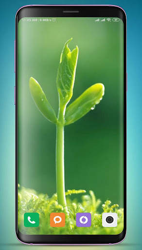 Plants Wallpaper HD screenshot 2