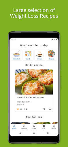 Weight Loss Recipes screenshot 1