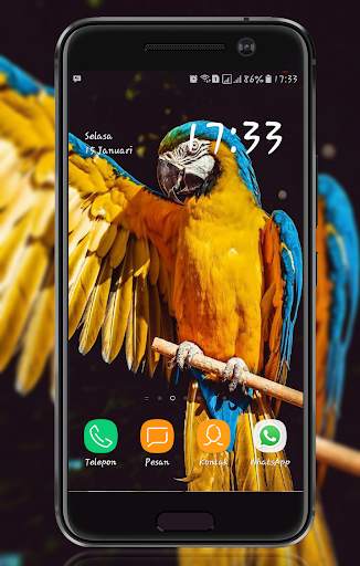 Bird Wallpaper screenshot 6
