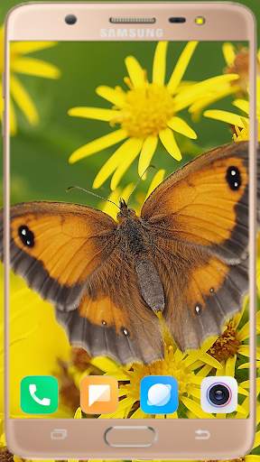 Butterfly Wallpaper Best HD screenshot 11