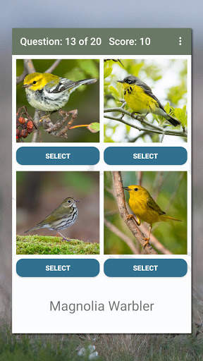 North American Bird ID Quiz screenshot 4