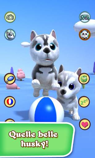 Parler chien Husky screenshot 4