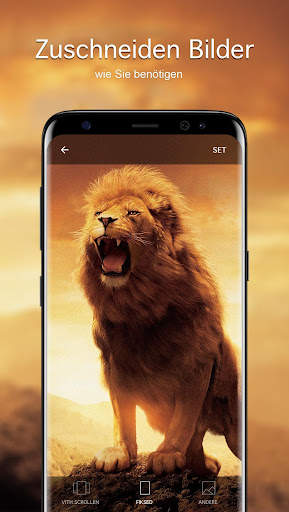 Hintergrundbilder mit Löwe 4K screenshot 3