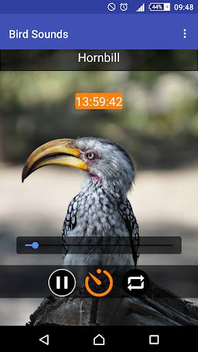 Relax & Sleep with Bird Sounds screenshot 4