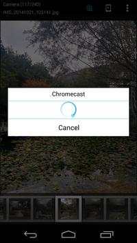 ES Chromecast plugin screenshot 2