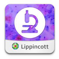 Rubin's Pathology: USMLE Q&A on 9Apps