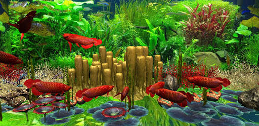 3D Red Arowana Live Wallpaper Pro screenshot 1