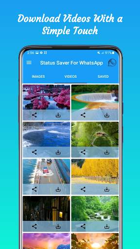 Status Saver For WhatsApp Business screenshot 3