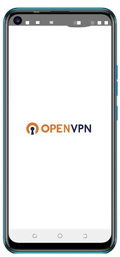 Open VPN screenshot 1