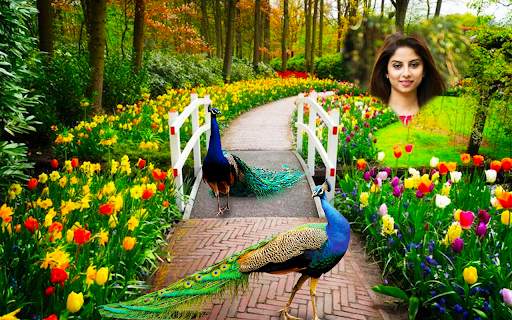 Peacock Photo Editor - CB Photo Frames Banane Wala screenshot 12