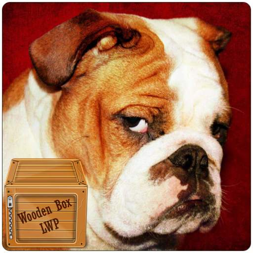 english bulldog live wallpaper - cute bulldog 1.006