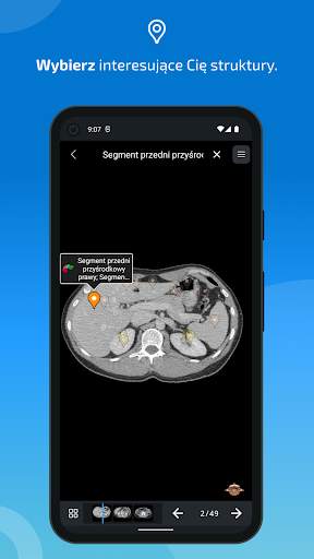 e-Anatomy screenshot 4