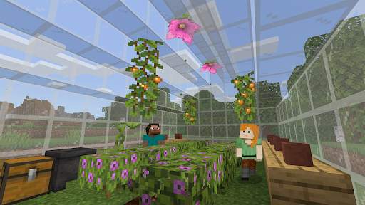 Minecraft Education screenshot 2